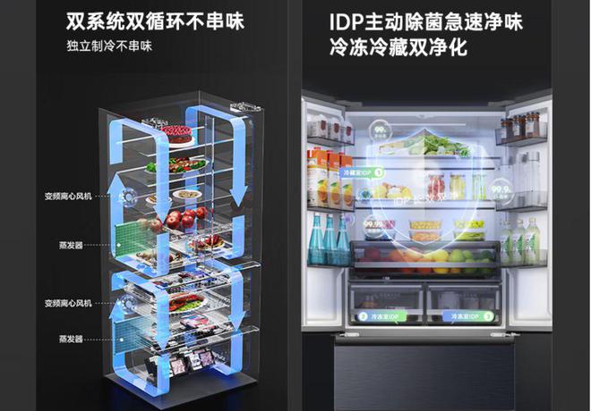 箱如何打破存量市场 “天花板”尊龙凯时app一路狂飙看容声冰(图4)