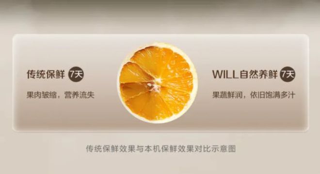 箱如何打破存量市场 “天花板”尊龙凯时app一路狂飙看容声冰(图6)