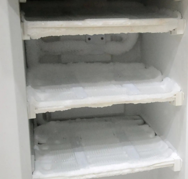 永不结冰关键每个月电费能省一大半！尊龙凯时app只要放一样东西冰箱